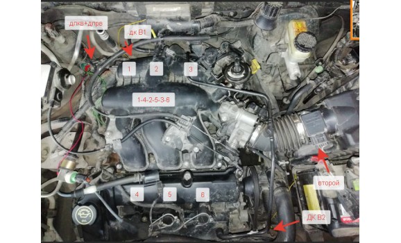Как подключить осциллограф-Сигнал ДПКВ + ДПРВ-Ford-Escape I / Maverick 2001-2007 : Image 1